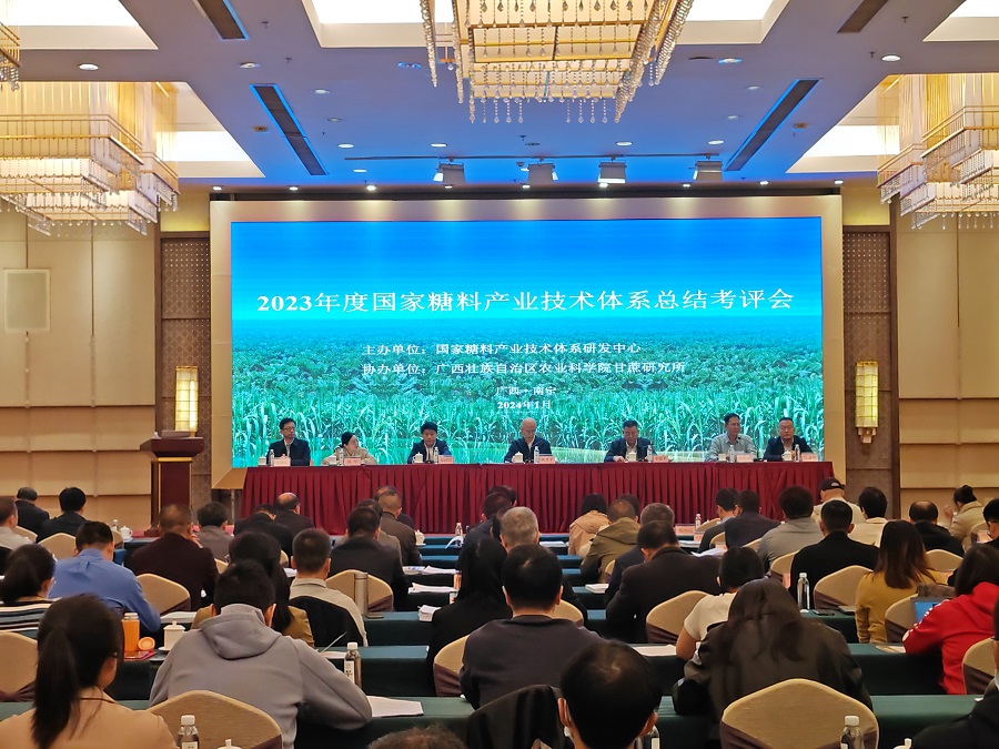 2023年度國家糖料產(chǎn)業(yè)技術(shù)體系在突破“卡脖子”難題上取得進展